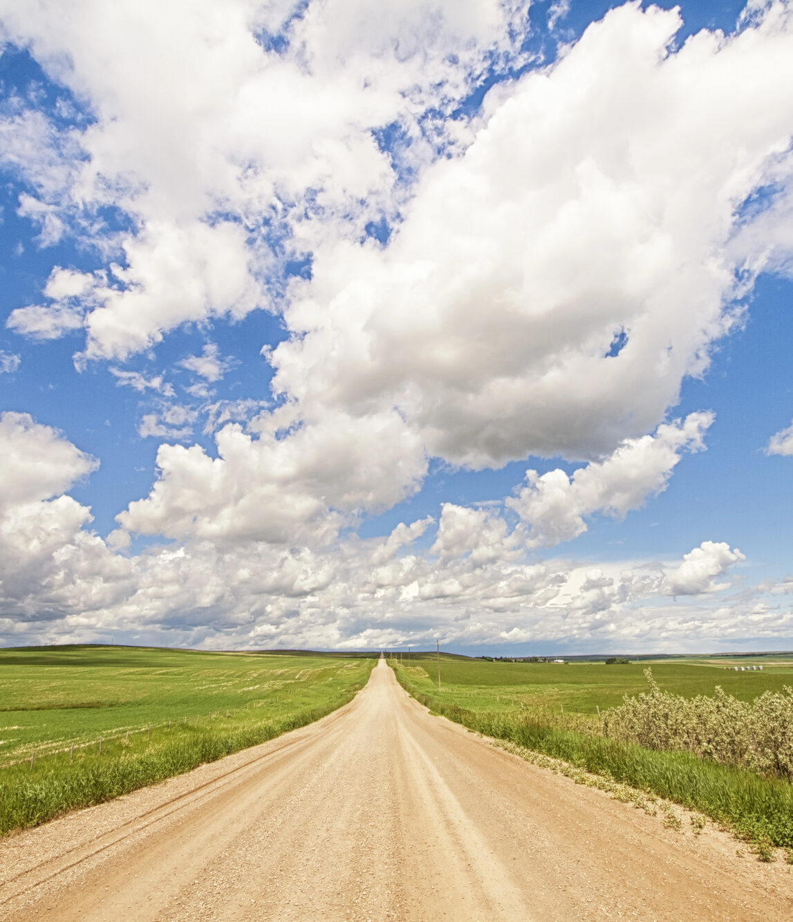 Alberta open road