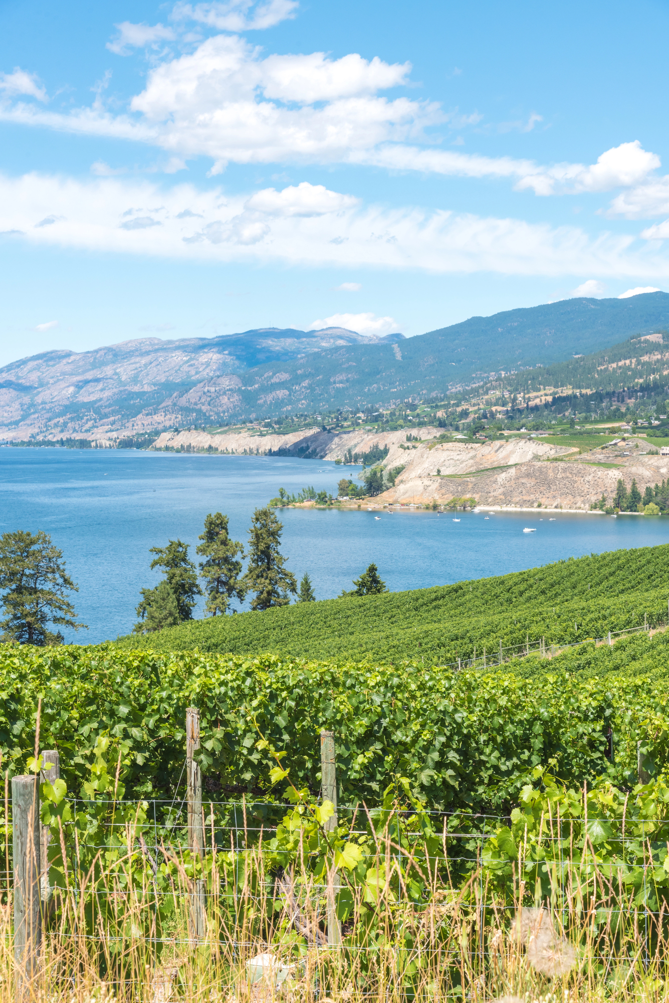 Penticton, BC view of the Okanagan Lake